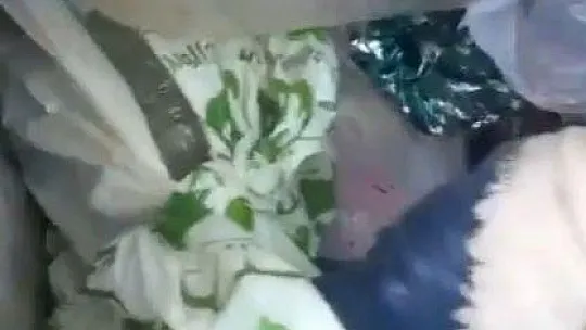 Yavru kedileri poşet içerisinde canlı canlı çöpe atmışlar