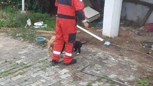 Yavru köpeğin yaramazlığı başına iş açtı