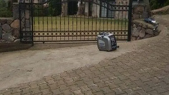 Yavru köpeğin yaramazlığı başına iş açtı