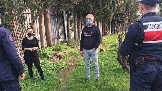 Yavruları olan köpek tüfekle vurularak öldürüldü