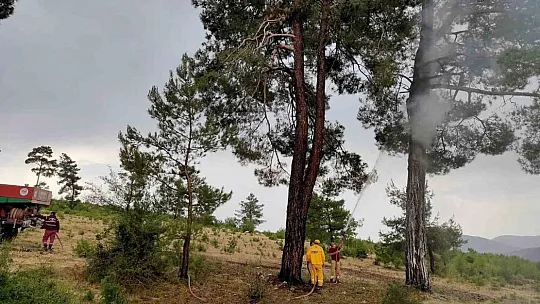 Yaz yağmurları yıldırım yangınlarını arttırdı
