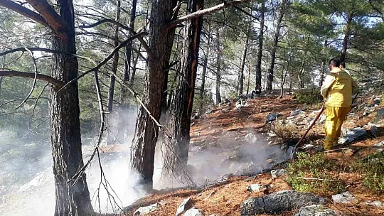 Yaz yağmurları yıldırım yangınlarını arttırdı