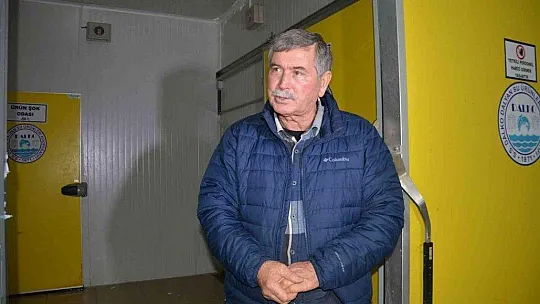 Yengeç kabuğu ve balık pulundan jelatin üretilecek