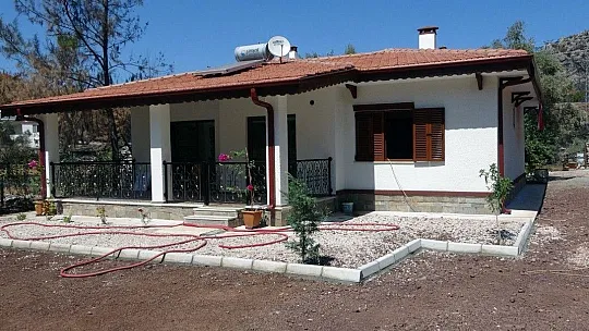 Yeni evlerine kavuşuyorlar