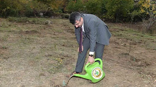 Yeniden yeşil Muğla için güç birliği