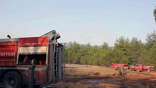 Yeşil örtü siyaha büründü