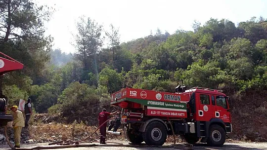 Yeşil örtü siyaha büründü