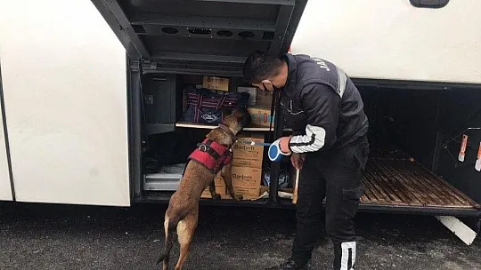 Yılbaşı öncesi Marmaris'e ve Datça'ya giriş yapan tüm araçlar denetleniyor