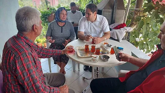 Yıldırım düşmesi sonucu 10 koyun telef oldu