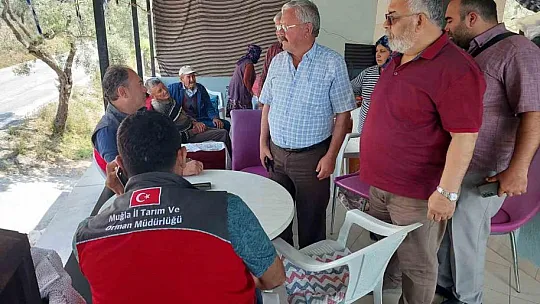 Yıldırım düşmesi sonucu 10 koyun telef oldu
