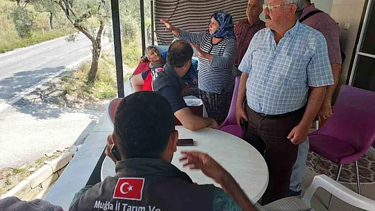 Yıldırım düşmesi sonucu 10 koyun telef oldu
