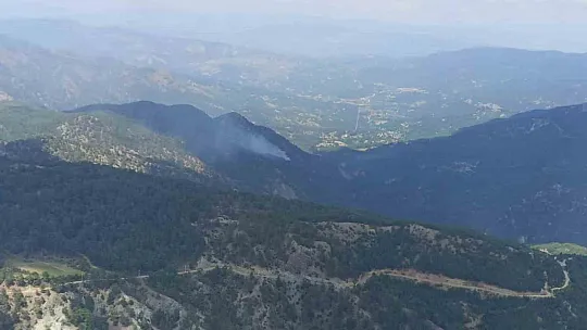 Yıldırım düşmesi sonucu çıkan orman yangını söndürüldü