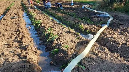 Tarım arazisinin sulama sorunu çözüldü