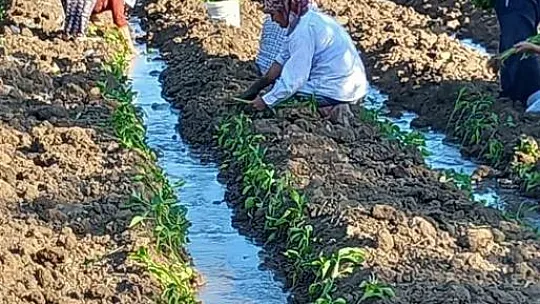 Tarım arazisinin sulama sorunu çözüldü