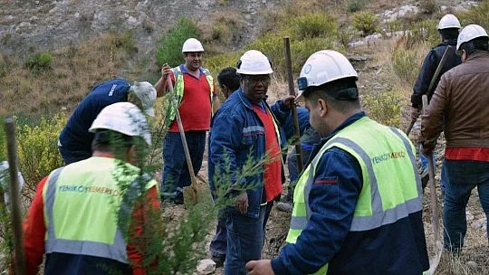 YK Enerji'den 3 yılda 1 milyon ağaç