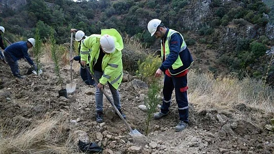 YK Enerji'den 3 yılda 1 milyon ağaç