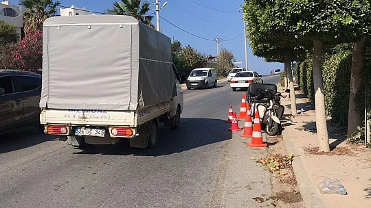 Yol kenarında ölü bulundu