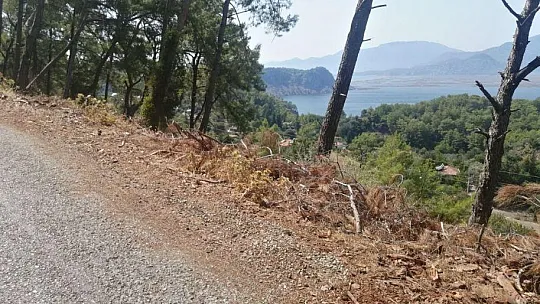 YOL KENARINDAKİ KURUMUŞ AĞAÇ PARÇALARI YANGINA DAVETİYE ÇIKARTIYOR