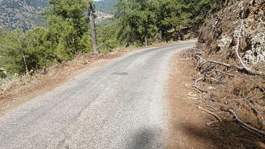 YOL KENARINDAKİ KURUMUŞ AĞAÇ PARÇALARI YANGINA DAVETİYE ÇIKARTIYOR