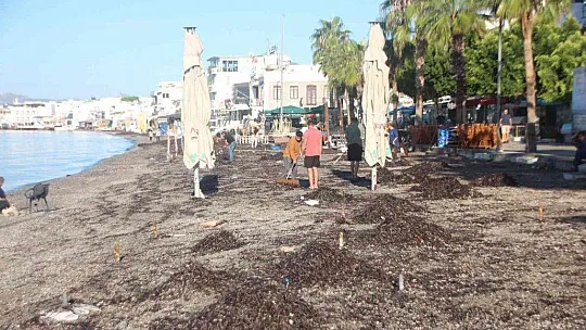 Yön değiştiren rüzgar denizcileri vurdu