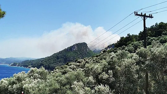 Yunanistan'ın Sisam adası yanıyor
