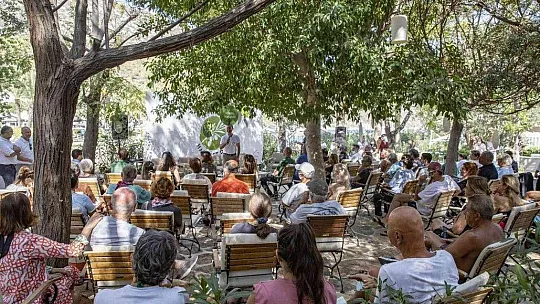 Zeytin hasadının ilk adımları