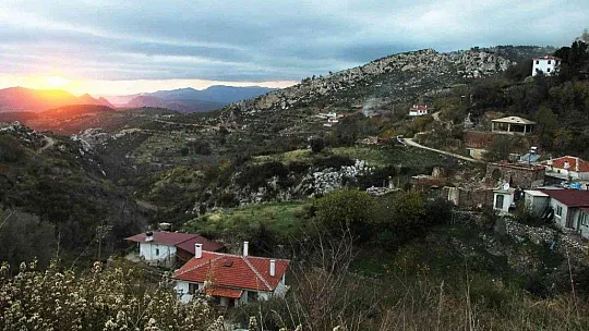 Zeytinköy'ün karası yeşile büründü