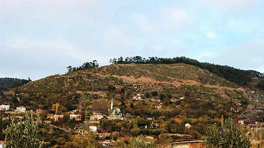 Zeytinköy'ün karası yeşile büründü