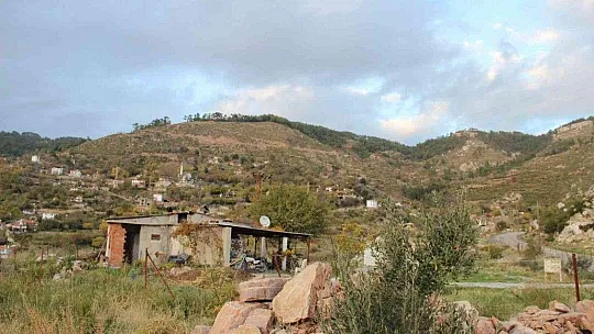 Zeytinköy'ün karası yeşile büründü