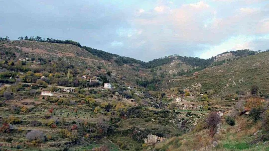 Zeytinköy'ün karası yeşile büründü