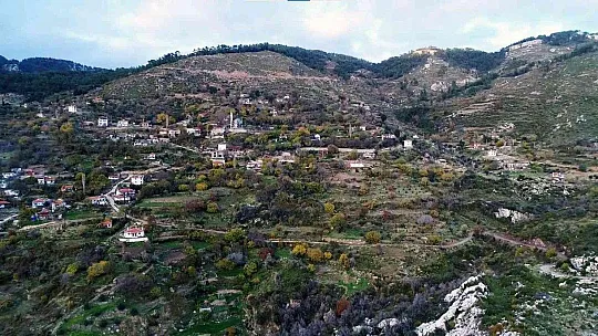 Zeytinköy'ün karası yeşile büründü