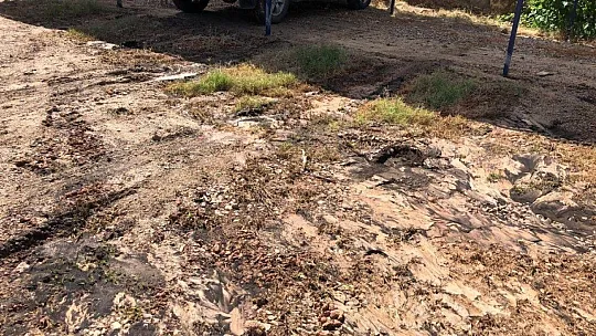 Zeytinlikuyu'daki görüntünün nedeni belli oldu