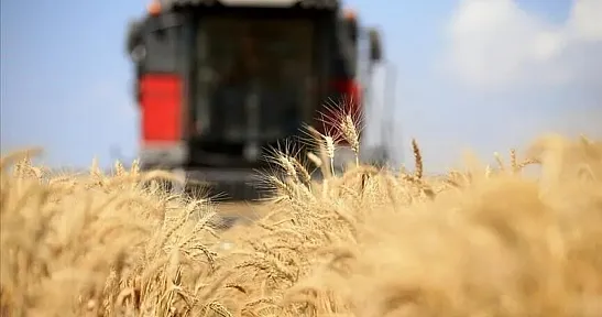 Küresel gıda fiyatları 3,5 yılın zirvesinde