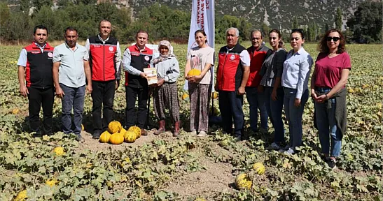 Menteşe Karabağlar yaylasında asırlık lezzetin hasat zamanı