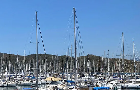 Arıkan 'Koylar şahısların olamaz'