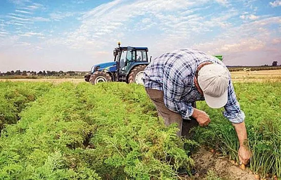 ÇKS KAYITLARINDA YENİ DÜZENLEME