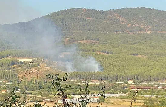 DALAMAN'DA ORMAN YANGINI KORKUTTU