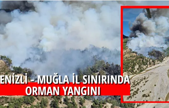 DENİZLİ - MUĞLA İL SINIRINDA ORMAN YANGINI