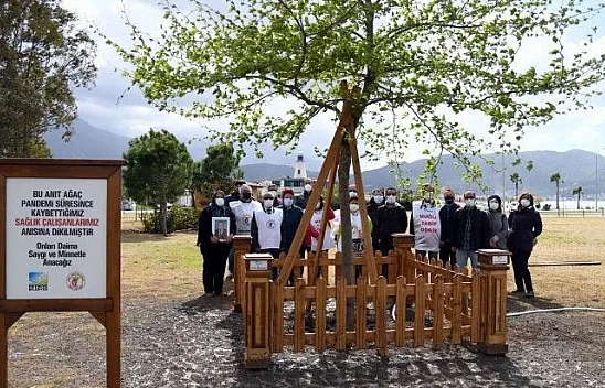 Sağlık Çalışanları için Anıt Ağaç dikildi