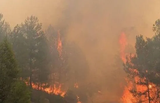 Seydikemer yangını devam ediyor