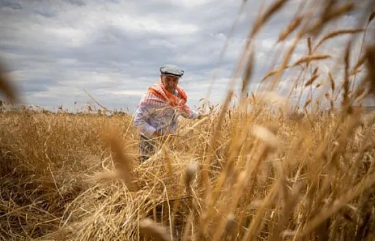 Tarım ürünlerinde enflasyon yüzde 154,97
