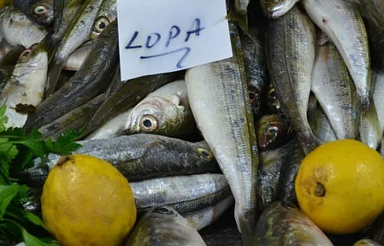 Balık fiyatları cep yakıyor