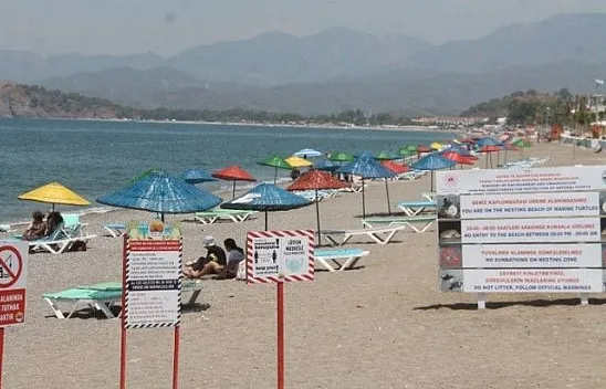 Caretta Caretta Kaplumbağaları'nın Yavru Çıkış Dönemi Başladı
