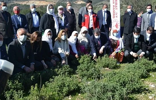 Fethiye'de Aromatik Bitkiler Bayramı