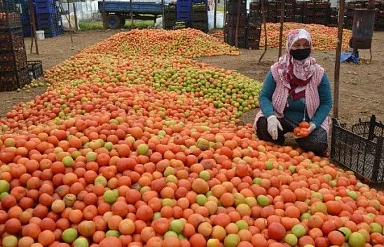 Üretici 'Girdilerdeki ÖTV kaldırılsın'