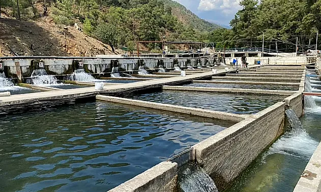 Fethiye'de 11 dönümlük tesis Avrupa'ya balık ihraç ediyor