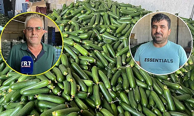 Fethiye Karaçulha Hali'nde salatalık sezonu zor başladı: Üretici de komisyoncu da kazanamıyor