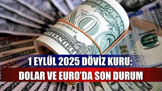 1 Eylül 2025 Döviz Kuru: Dolar ve Euro'da Son Durum