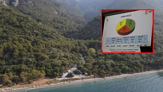 1 yılda 20 bin gelir getirici fidan toprakla buluştu