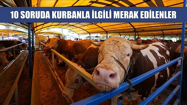 10 soruda kurbanla ilgili merak edilenler